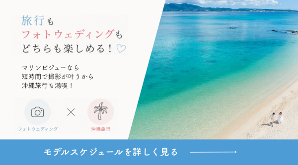 スケジュール