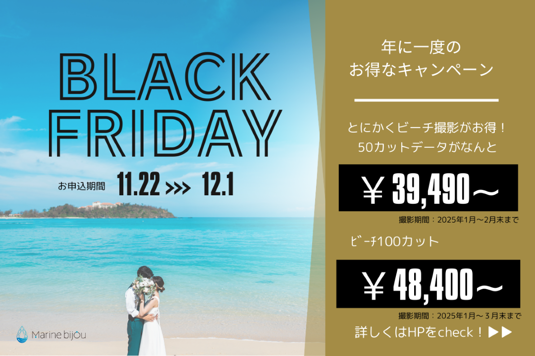 Black Friday Campaign