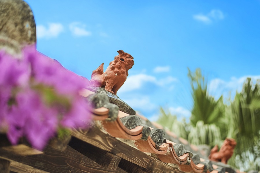 ［プランに含まれるもの］<br>・現地レンタルドレス（9型）<br>・現地レンタルタキシード（1型）<br>・新婦様ヘアセット＆メイク<br>・造花ブーケ＆ブートニア<br>・撮影データ100カット（Webダウンロード納品）<br>・カメラマン撮影料<br>・アテンドスタッフ<br>・雨天保障<br>・ロケーション＆チャペル施設料<br><br>ご予算に合わせてオプションや<br>アップグレード衣裳もご提案<br>させていただきます！