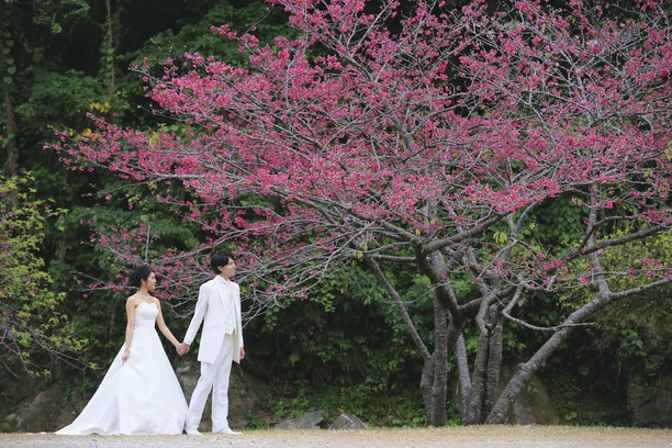 春のフォトウェディングは桜の下で おすすめの庭園は Okinawa Wedding Magazine