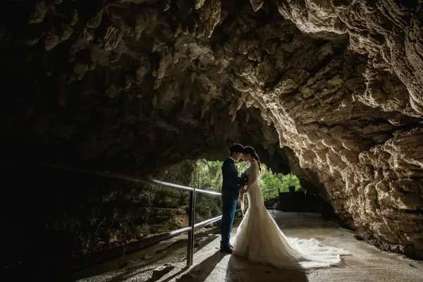 亜熱帯の森フォト＜ガンガラーの谷＞